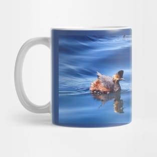 Wild birds, wildlife, nature, Spectacular Grebe, grebes Mug